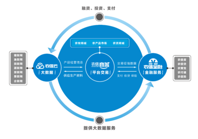 農業項目快速推廣策略 教育咨詢驅動的創新路徑