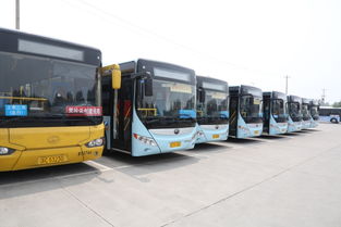 高車樁比提升運營效率，徐州公交快充模式引領(lǐng)道路客運綠色升級